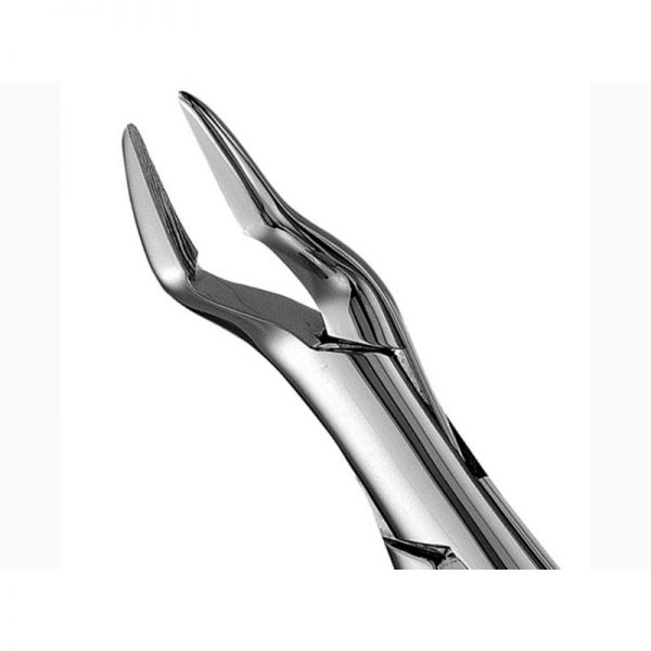 32 - Parmly Upper Universal Forceps