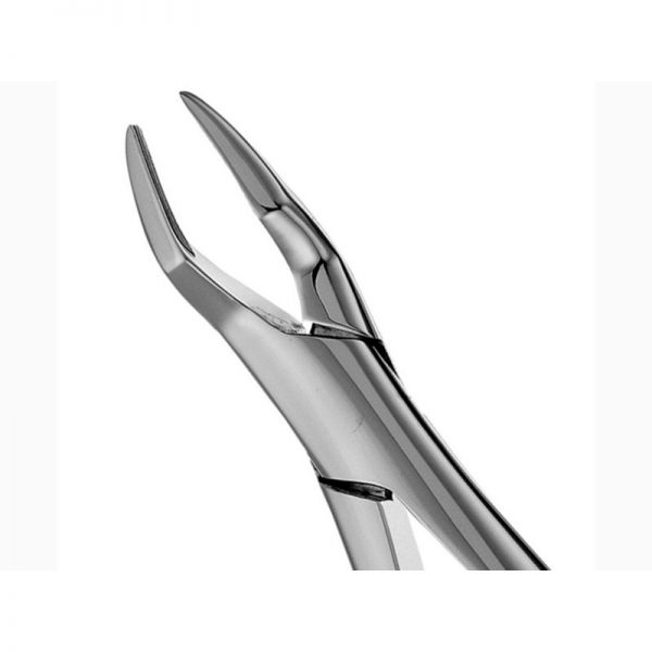 65 - Upper Roots Forceps