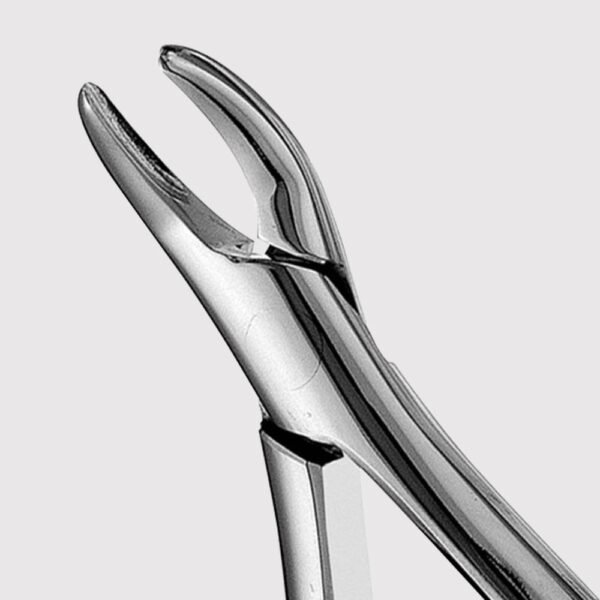 101 Hull Upper And Lower Premolar Forceps