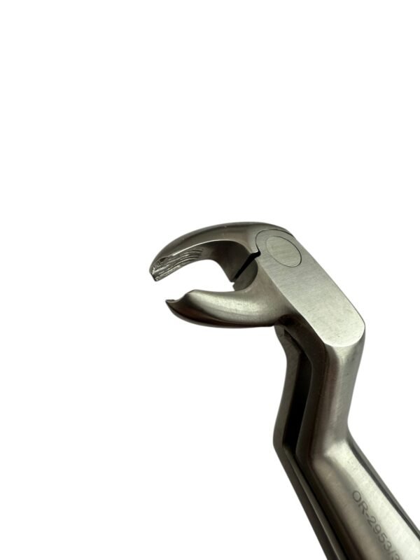 Lower Molars And Wisdom Right Forceps