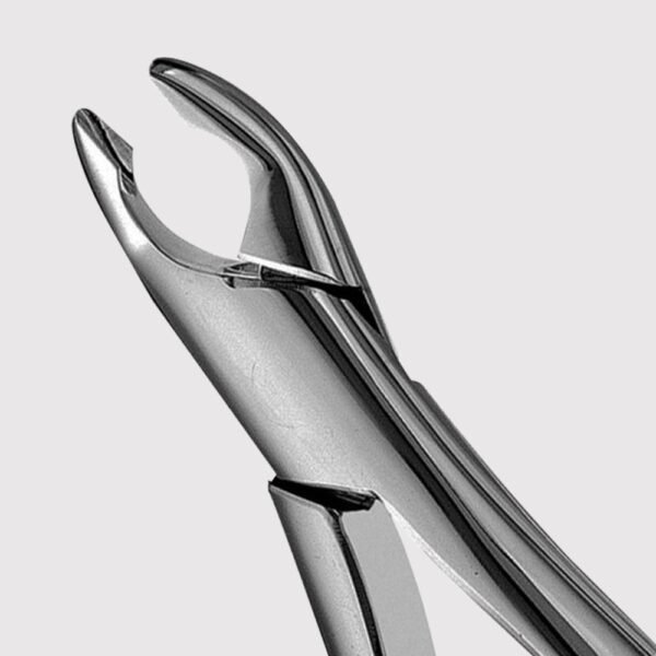 150A Upper incisors And premolars Forceps
