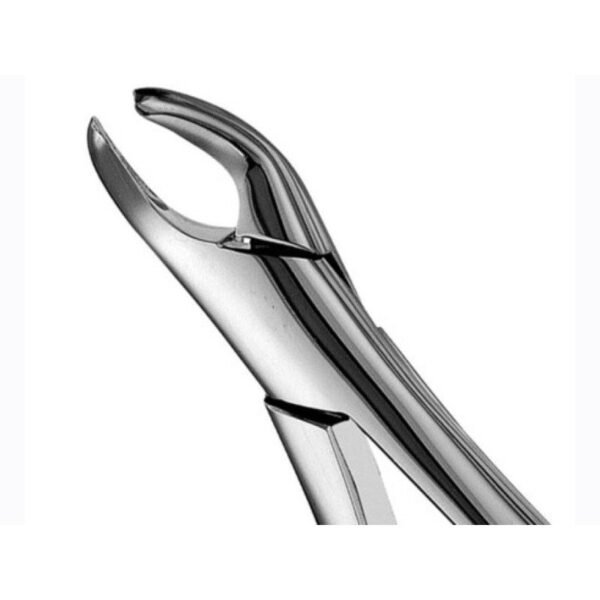 151 Lower Molar Forceps