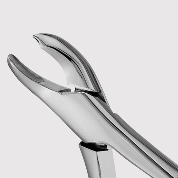 18L Upper Molar Forceps, Thumb Hook
