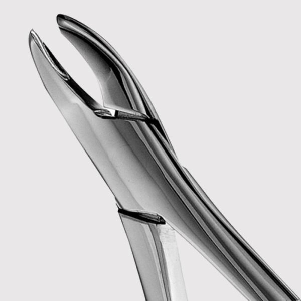 62 Upper And Lower Universal Forceps
