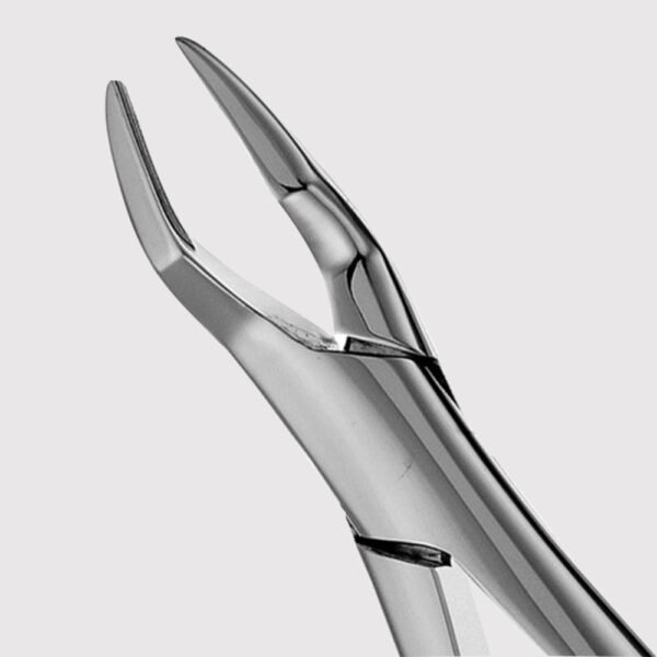 65 Upper Roots Forceps