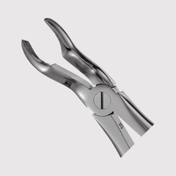67A Upper third Molars Forceps