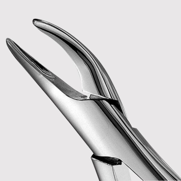 69 Tomes Upper And Lower Roots Forceps