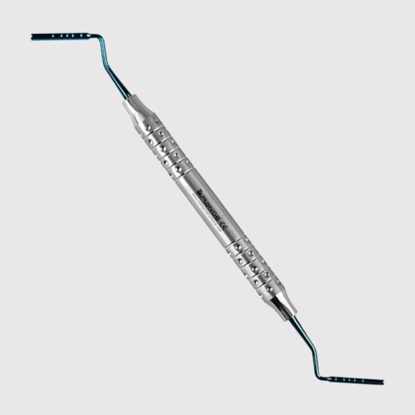Bone Graft Packer