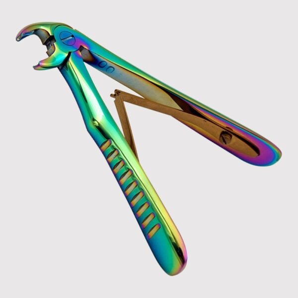 Lower Molars And Premolars