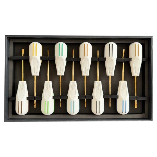 Luxating Elevator Set