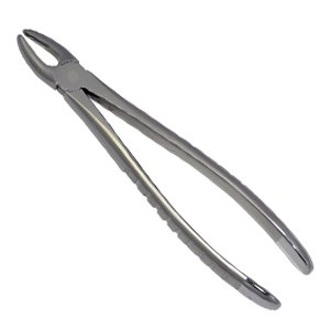English Pattern Forceps